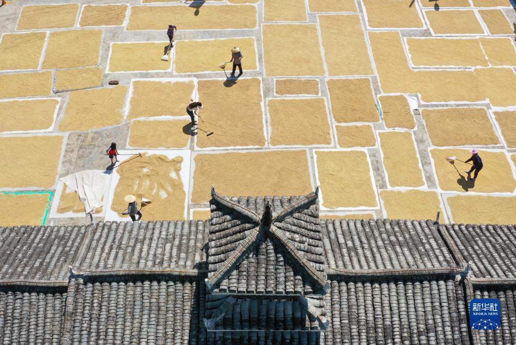 107平台平台开户